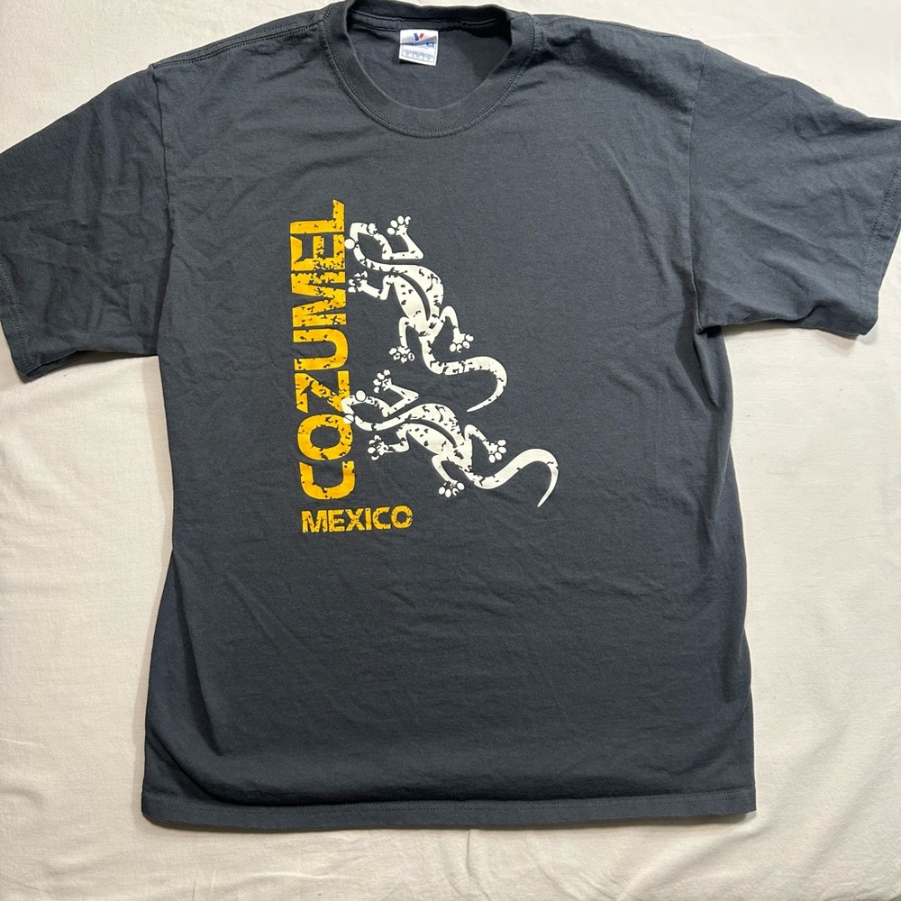 Dark Gray Cozumel Mexico‎ Graphic T-Shirt size Large